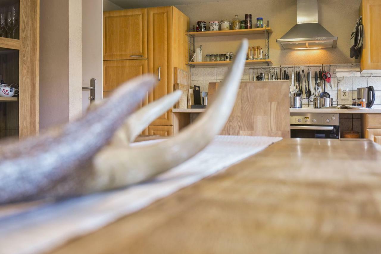 Zwei 4 Sterne Wohnungen Bei Limburg Mensfelden المظهر الخارجي الصورة